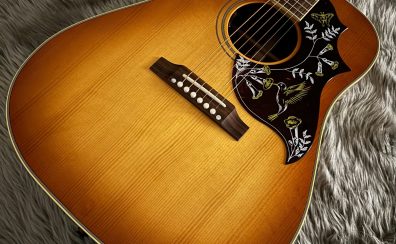 Gibsonアコースティックギターららぽーと豊洲店でお試しいただけます！！