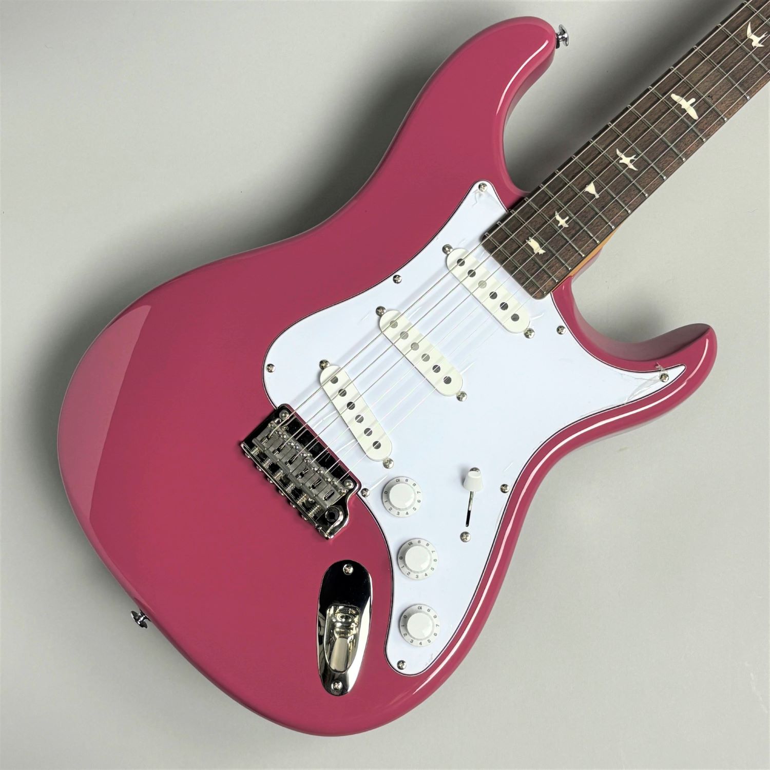Paul Reed Smith（ポールリードスミス/PRS）SE Silver Sky/Dragon Fruit　※ボディに色あせあり