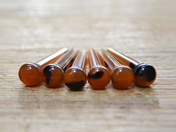 BirdlandFaux Tortoise