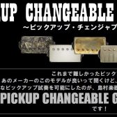 【ピックアップ】Pickup Changeable Guitar System【簡単付け替え】