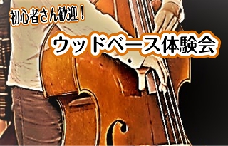 *ウッドベース、始めてみませんか？ 圧倒的な大きさと、響く低音が魅力のウッドベース。主にジャズやポップスで演奏され、その存在感はまさに圧巻！このページでは、そんなウッドベースの魅力をご紹介します！ **体験レッスンも24時間受付中！さっそくやってみたい！そんな方はこちら！ [https://www. […]