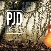 PJD Guitars、入荷・展示中です！