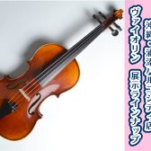 【演奏動画付き！】ヴァイオリン展示ラインナップ