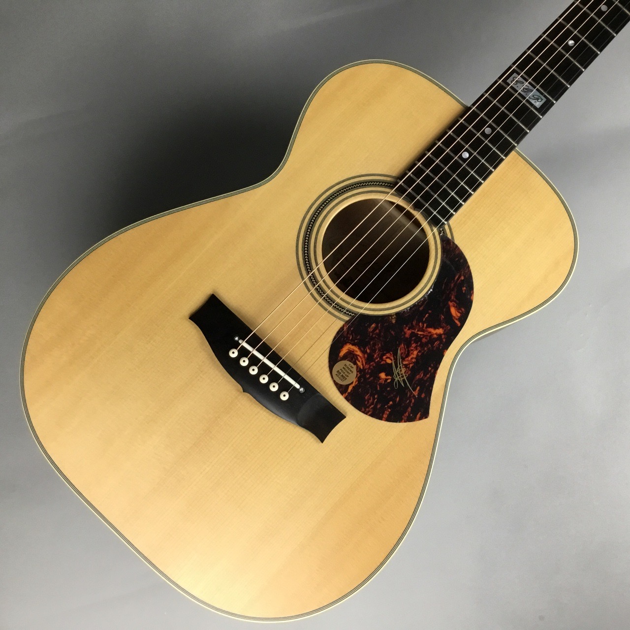 アコギ入荷情報】Maton EBG808 TEが再入荷しました！！｜島村楽器 浦和