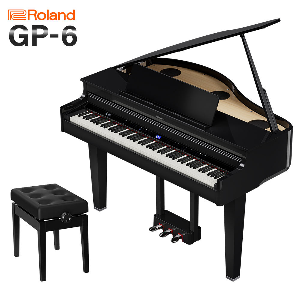 RolandGP-6