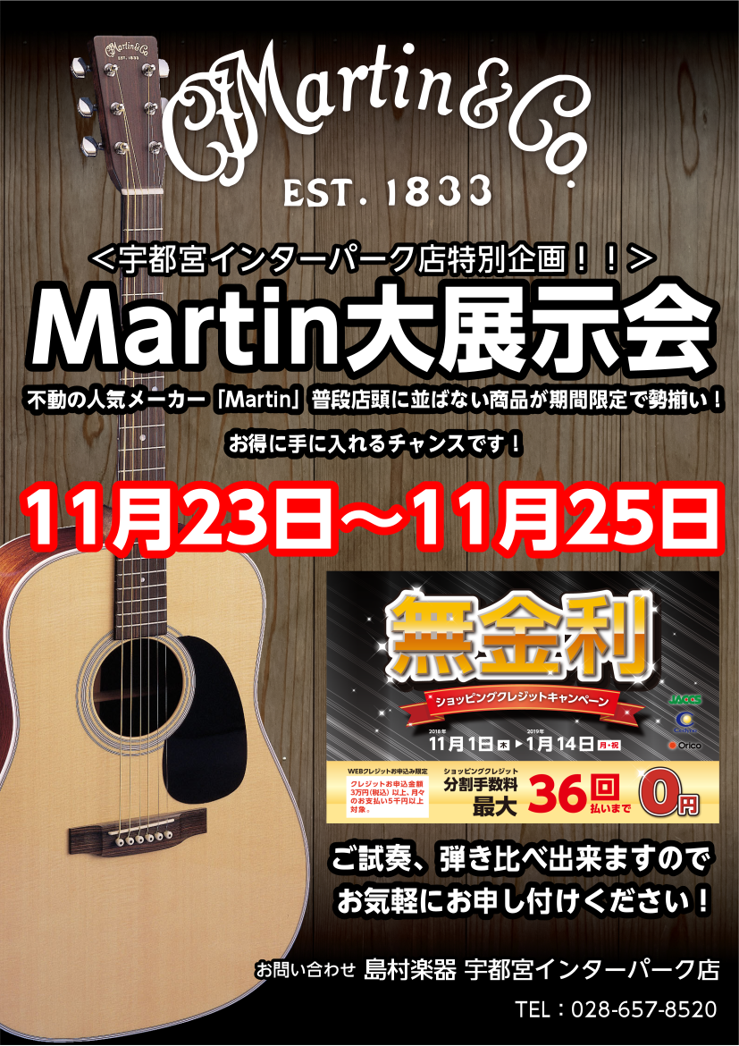 【マーチンギター】11月23日～25日Martinギター大展示会開催中！