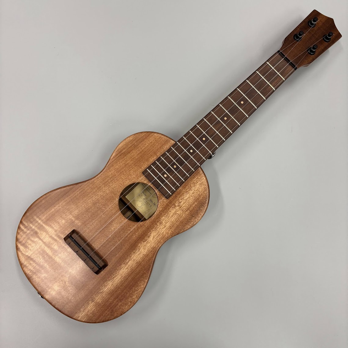 G-LaboNo.365 ピックアップ搭載モデル