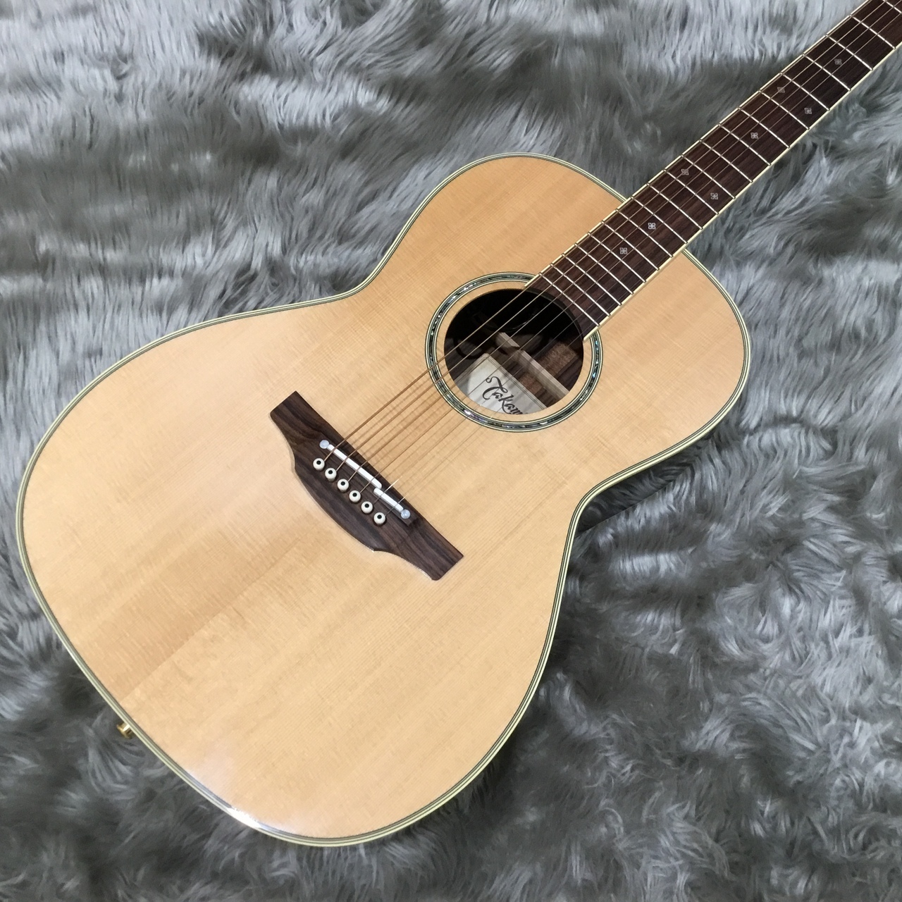 TakaminePTU441