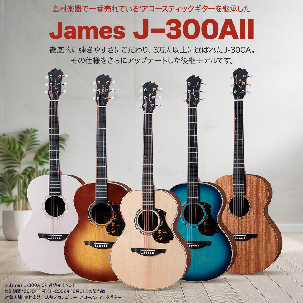 JamesJ-300AⅡ