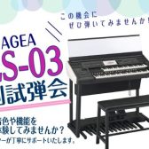 STAGEA ELS-03 個別試弾会 開催