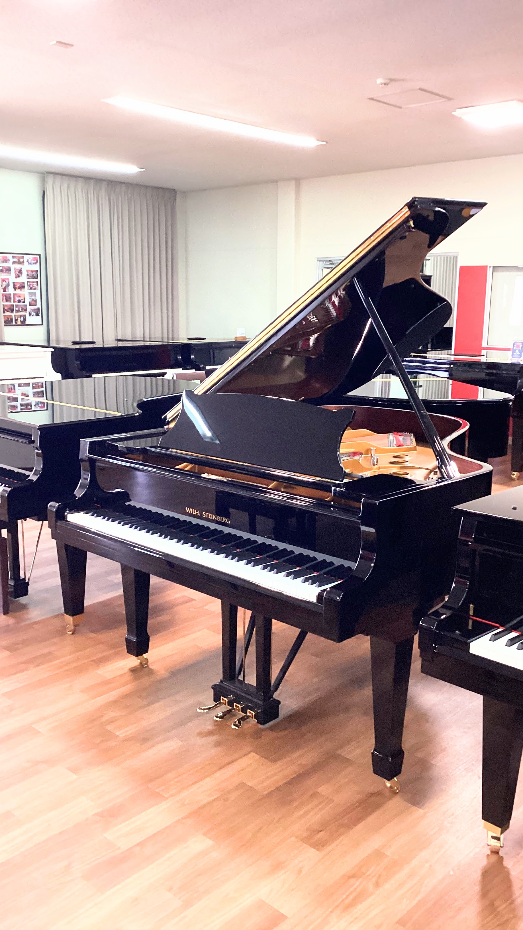 新品グランドピアノWILH.STEINBERG P187