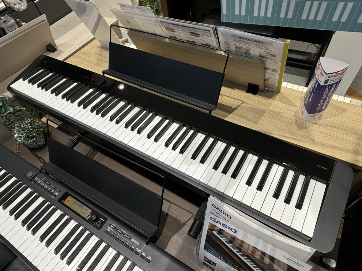 CASIOPX-S1100