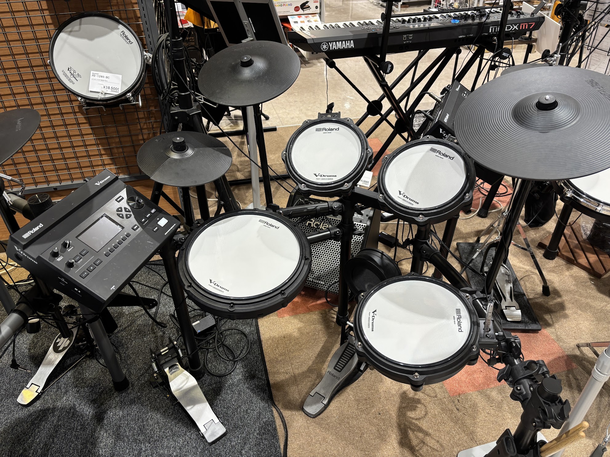 RolandTD313SC-S