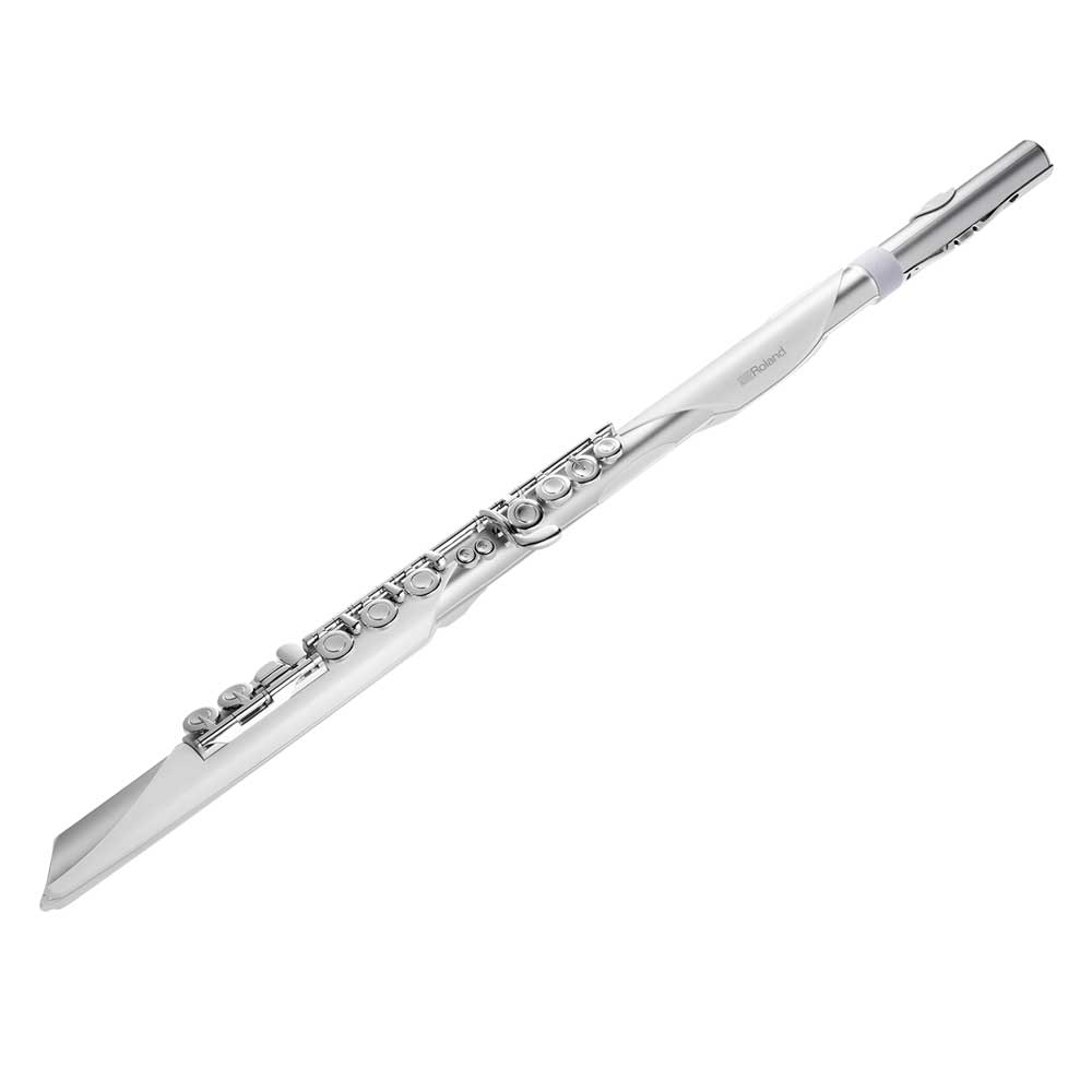 RolandAerophone BRISA【AE-BRISA】