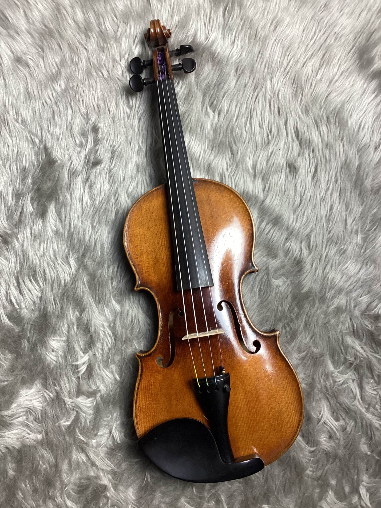 ザクセンスクール／アルバナスラベル／１８８０年頃	Sachsen/ca1880c