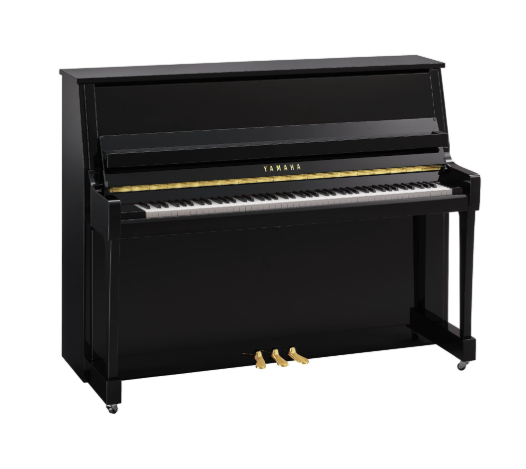 YAMAHAB20SC3