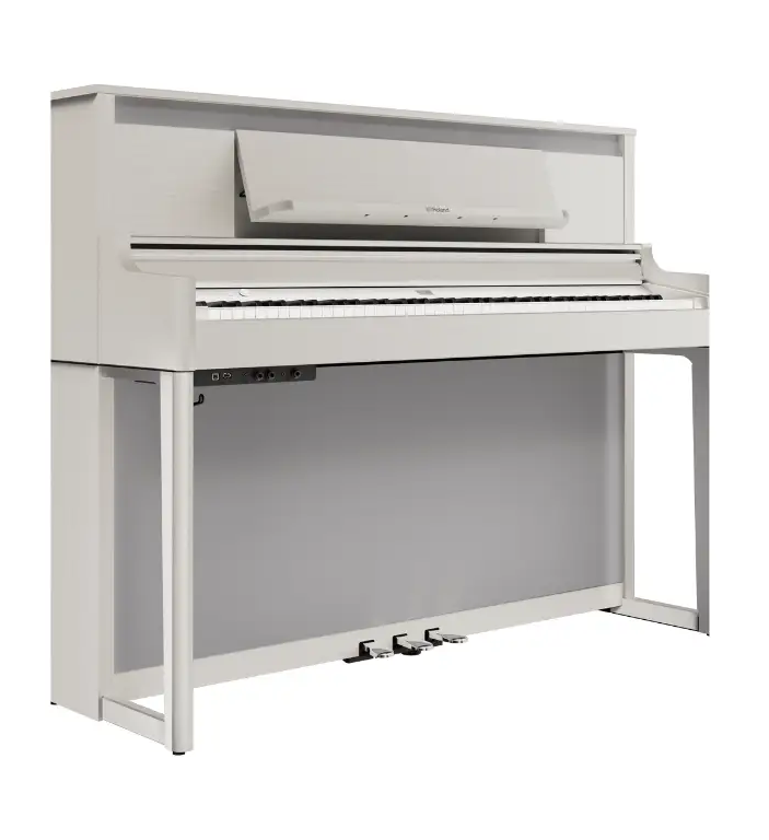 RolandLX6GP　SR