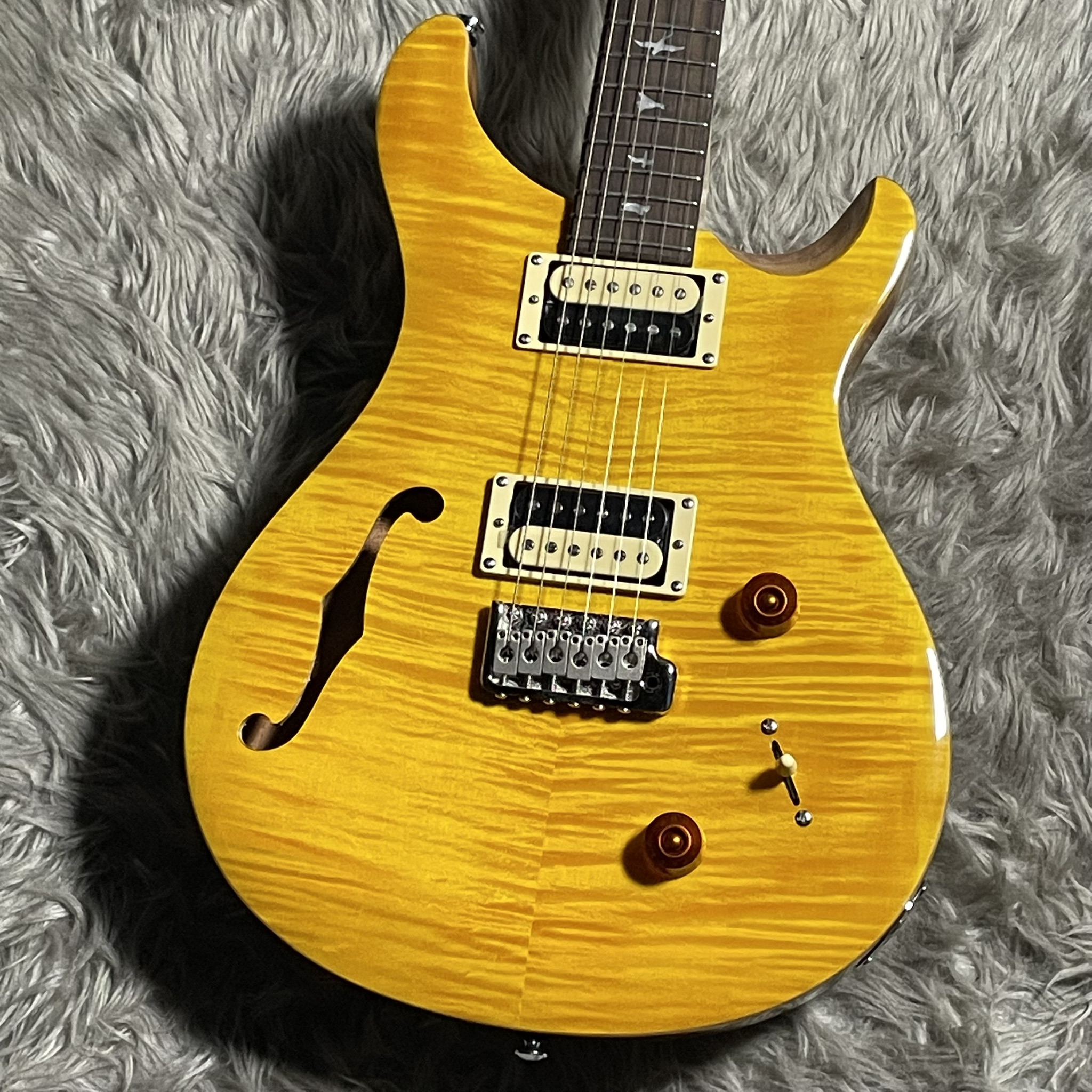 Paul Reed Smith『SE Custom 22 Semi-Hollow』