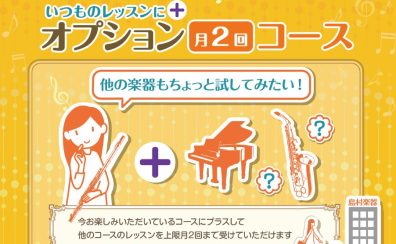 【ピアノサロン会員様限定】オプション月2回コースについて