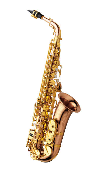 YANAGISAWAA-WO20