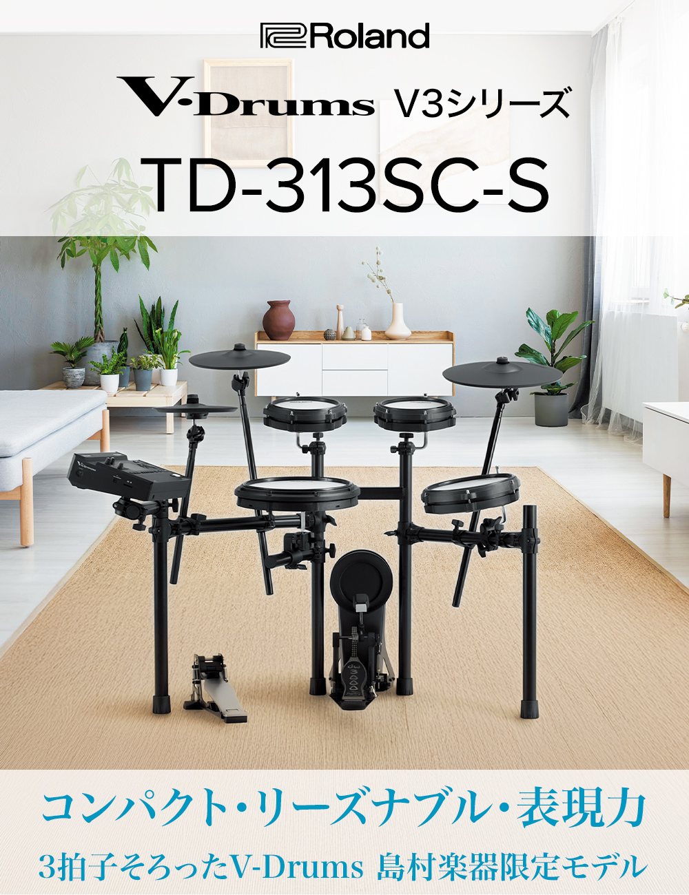 RolandTD313-SC-S