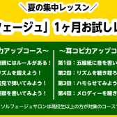 【大人の予約制ソルフェージュサロン】1ヶ月お試しレッスン開講中