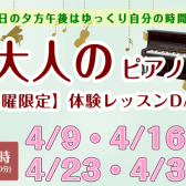 【イオンレイクタウンでお買い物ついでに音楽を始めよう！】忙しい日中を避けたい方にぴったりの習いごとなら大人のためのピアノサロンがおすすめ♬