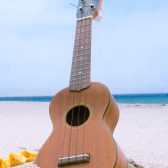 【浜松市浜北区の音楽教室】癒しの音色!ウクレレ教室のご案内