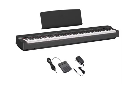 YAMAHAP-225（BK）