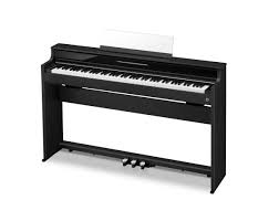 CASIOAP-S5000GP/S（BK）