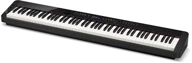 CASIOPX-S1100（BK）