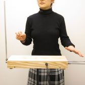 【触れずに奏でる魔法の楽器】人とは違う趣味、「テルミン」を始めてみませんか？