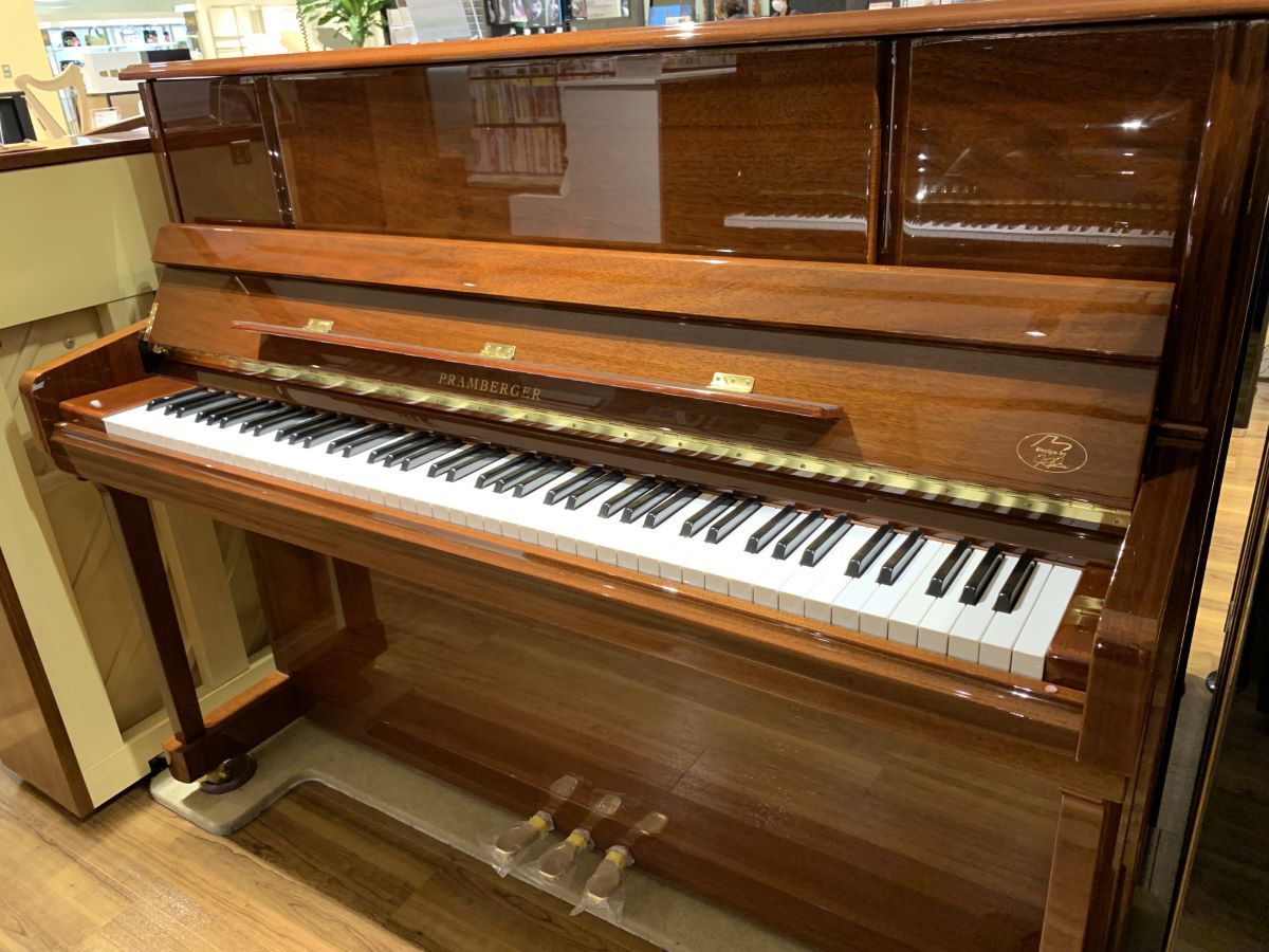 PRAMBERGER/PV118WNP
￥750,000（税込）