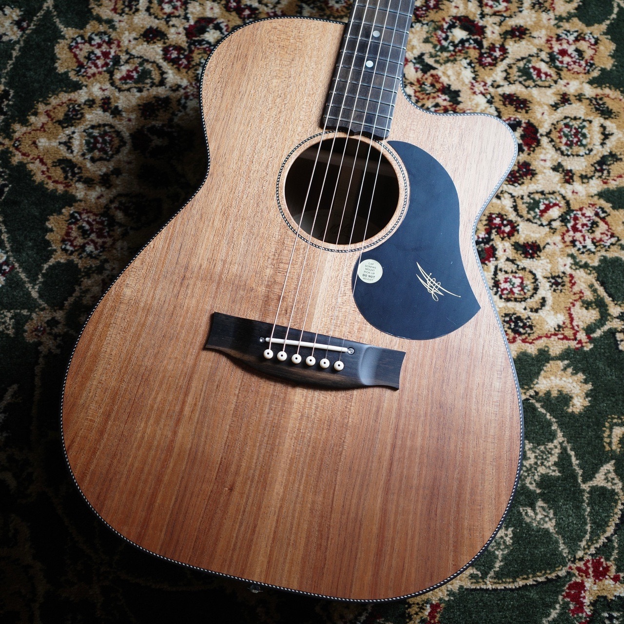 新品MATON EBW808C 【BLACKWOOD series】