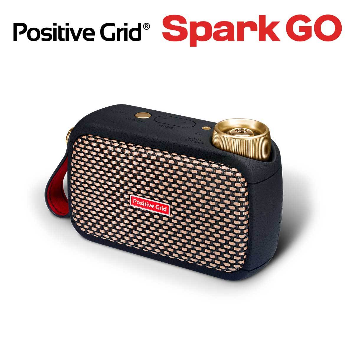 Positive Grid Spark GO