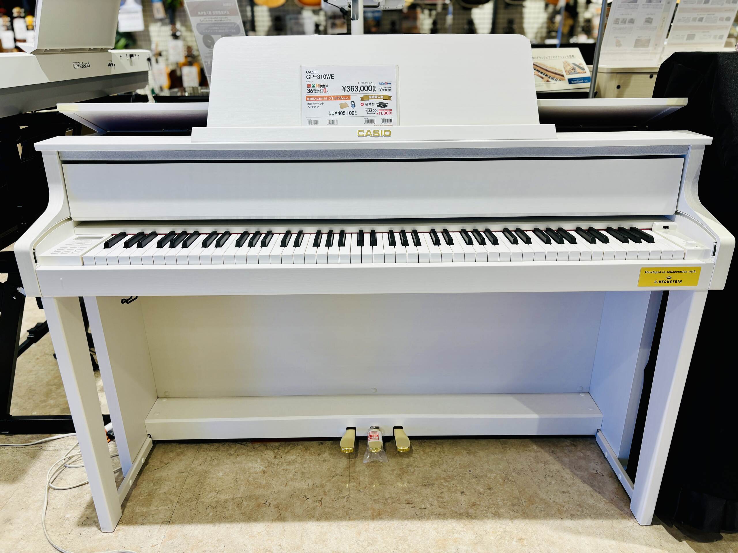 CASIOGP-310