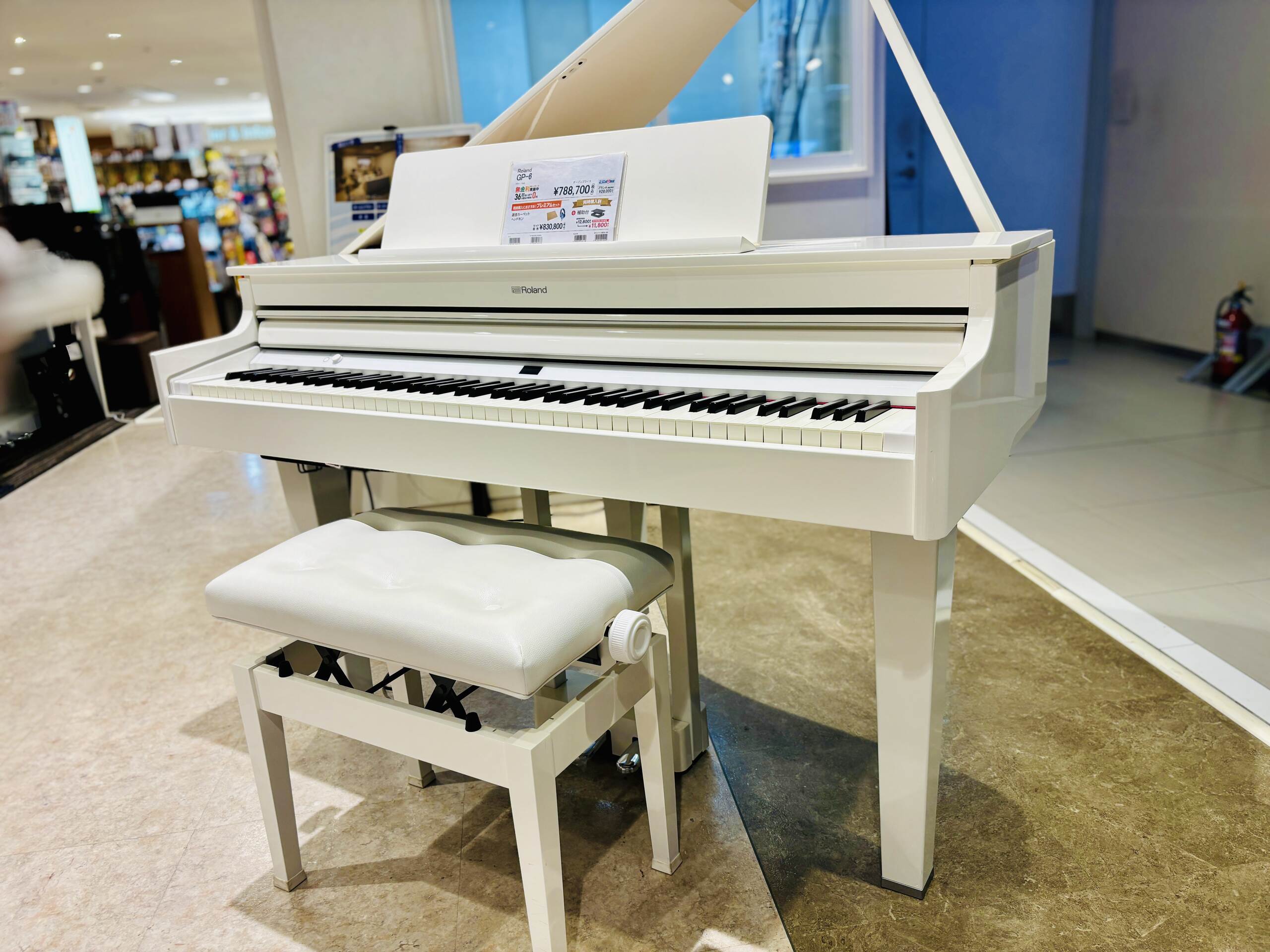 RolandGP-6（PWS）