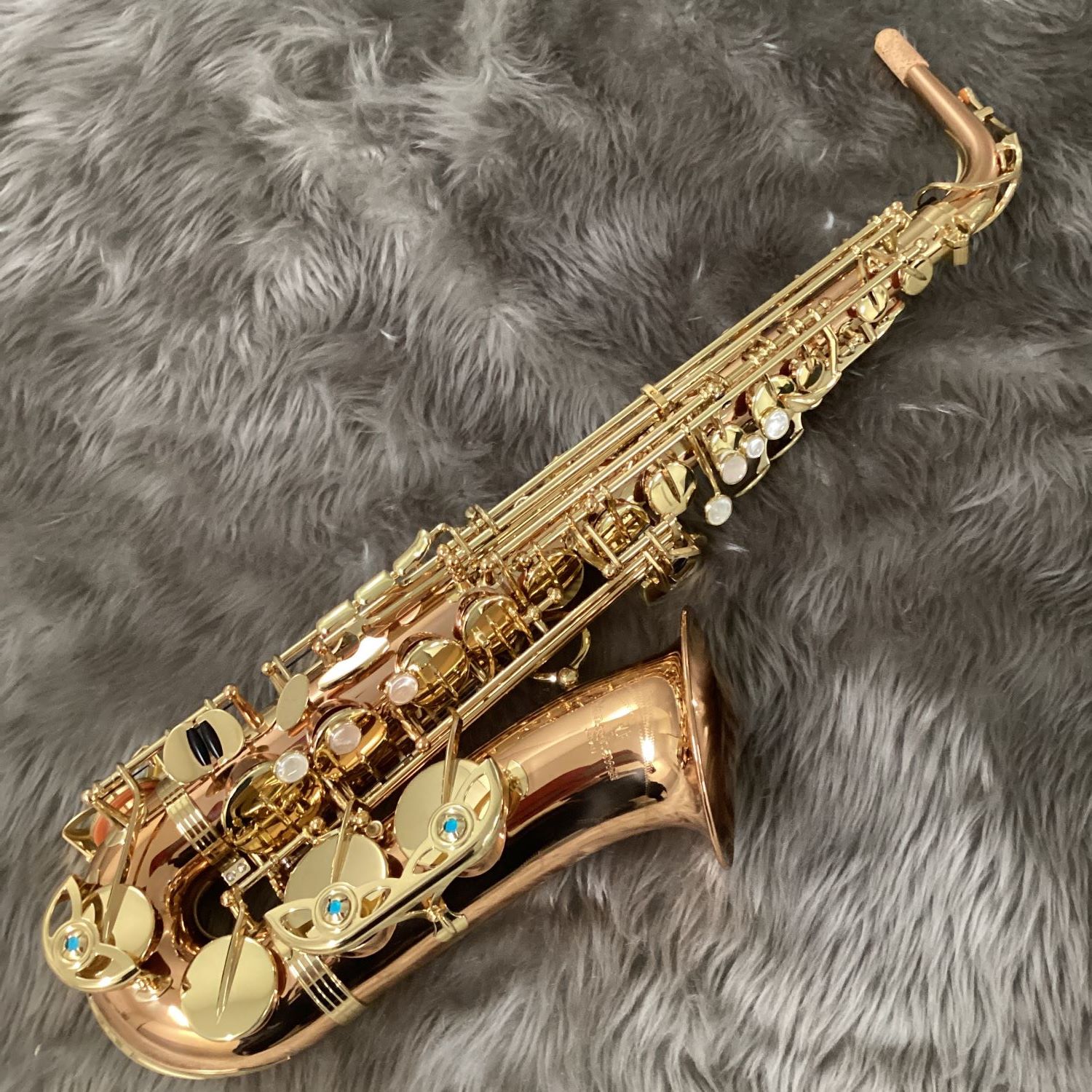 YANAGISAWAA-WO2