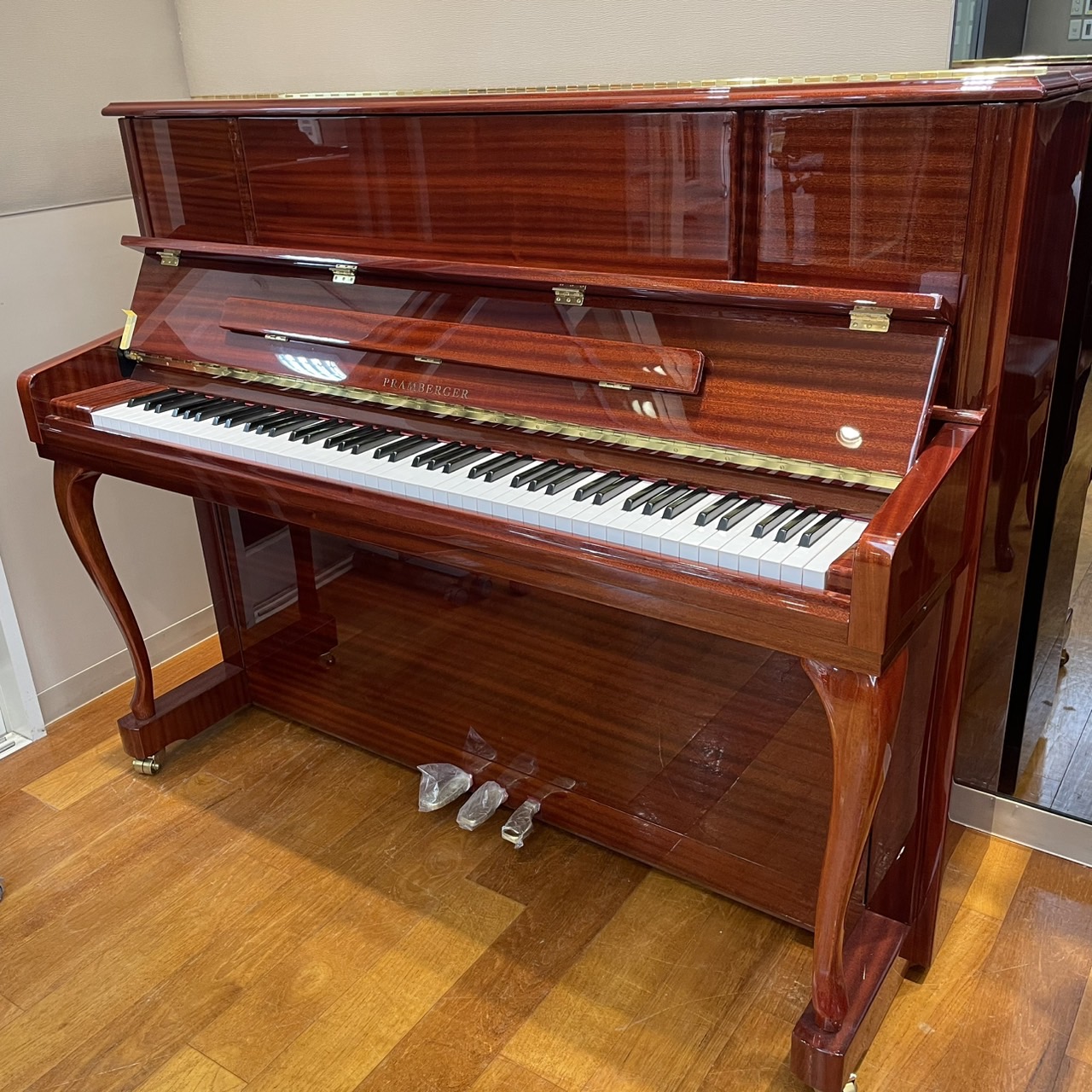 PRANBERGERPV118C(MHP)