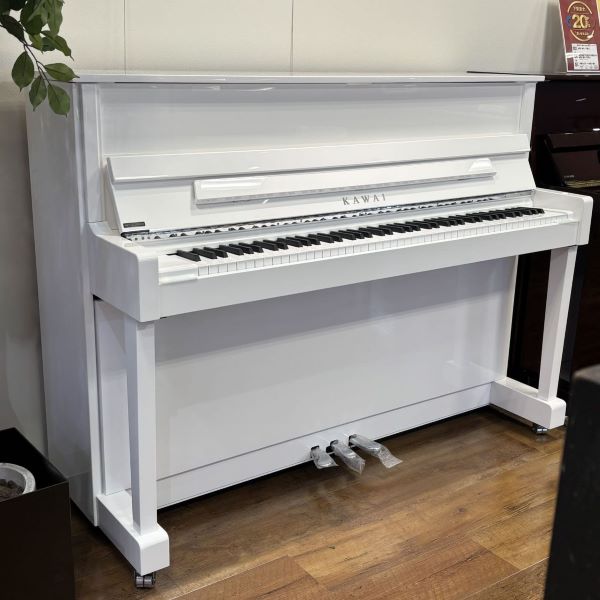 KAWAIK-114SX（WHP）
生産完了のため在庫限り特別価格！
通常価格￥698,000(税込）→￥663,100（税込）