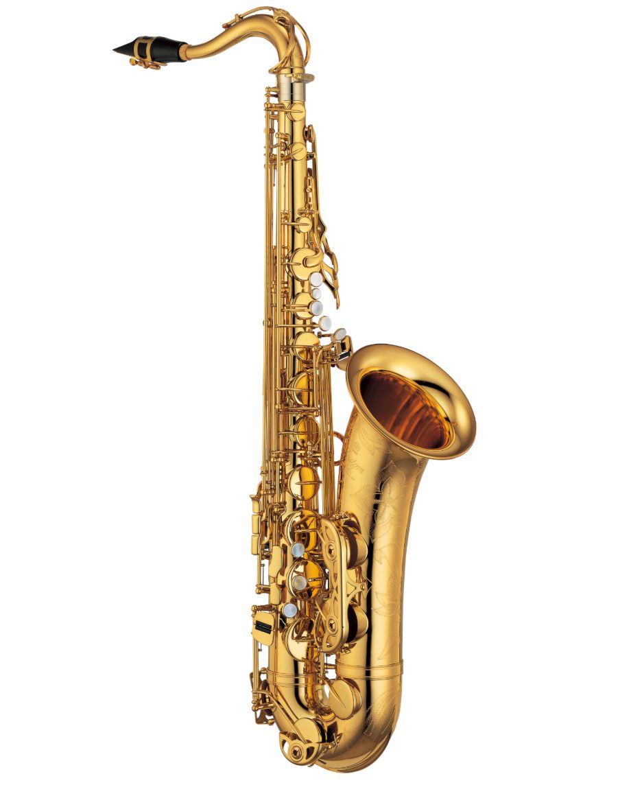 YAMAHAYTS-875EX