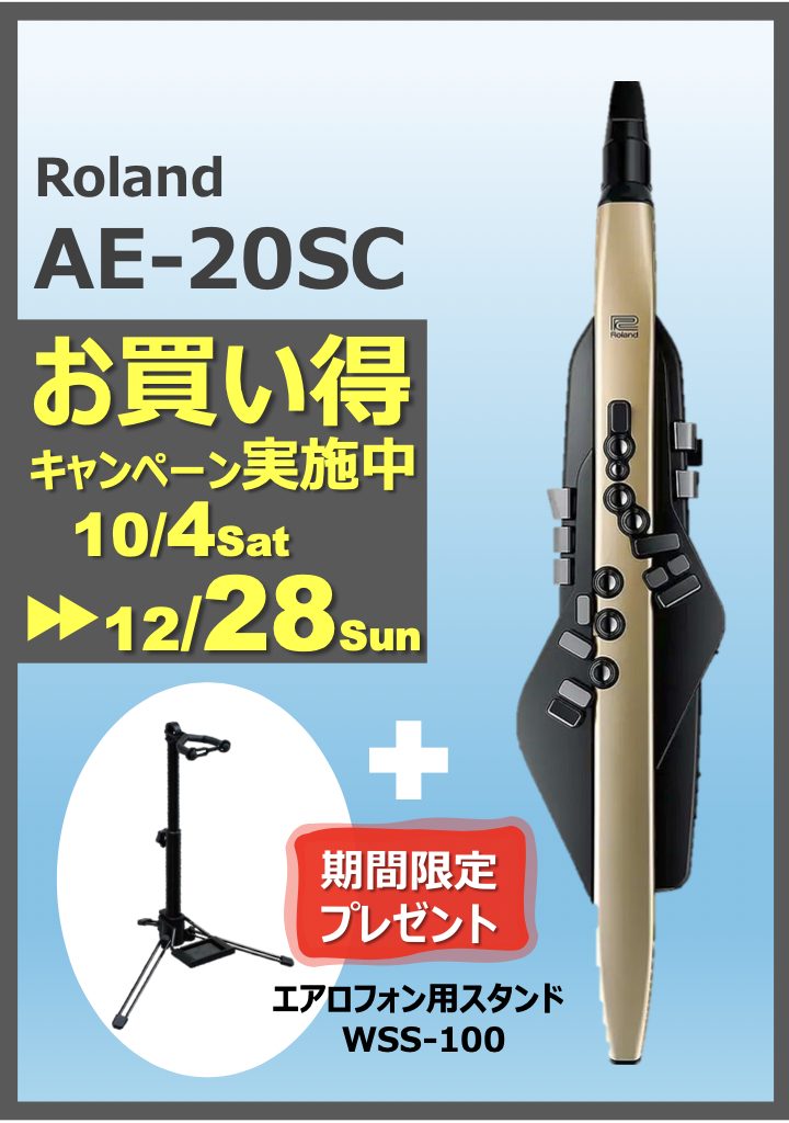 デジタル管楽器Roland　AE-20SC