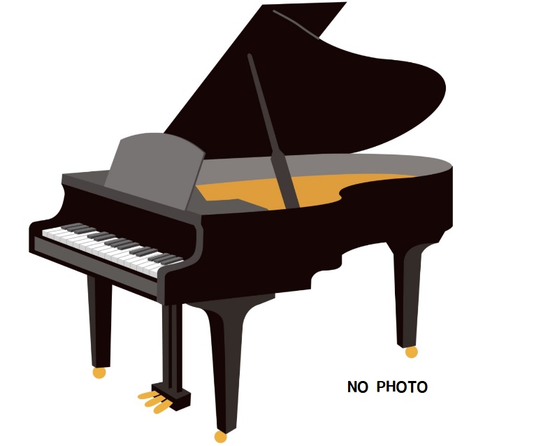 YAMAHA【中古】GH1B
