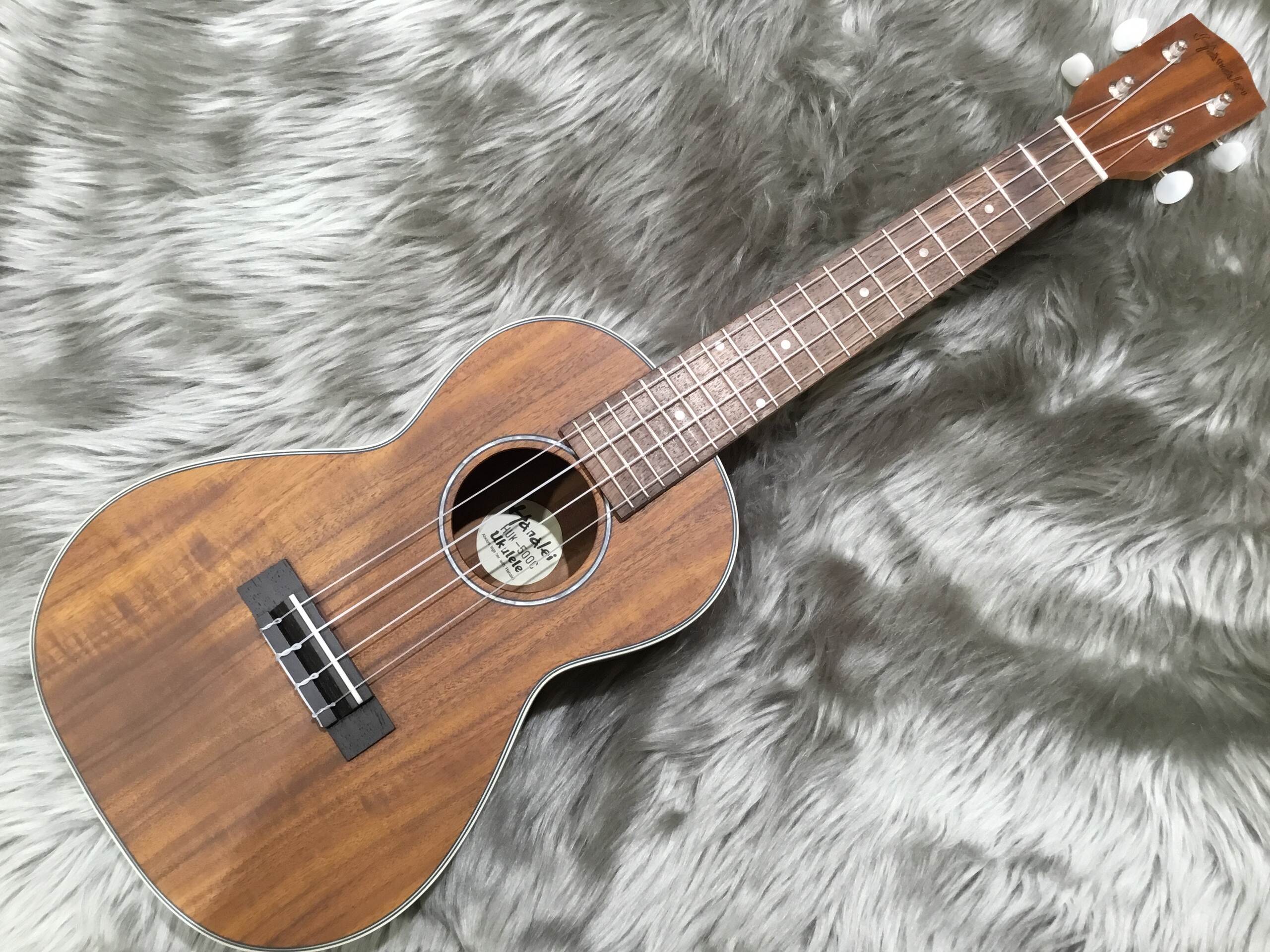 コンサートウクレレ【生産完了品】HUK-500C【残り1点】