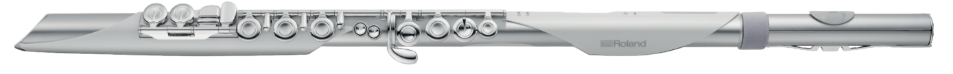 RolandAerophone Brisa