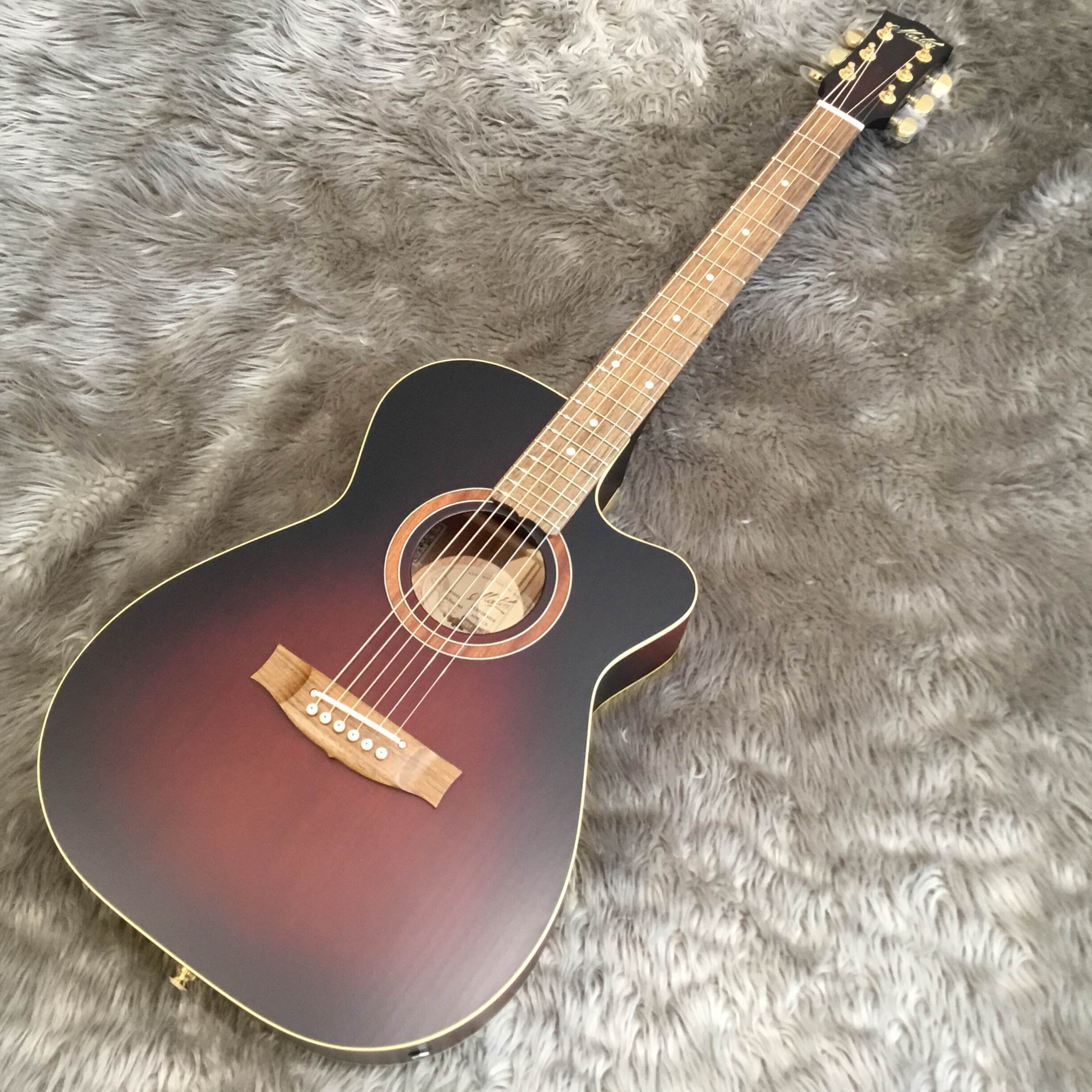 Performer 2023 Limited Model