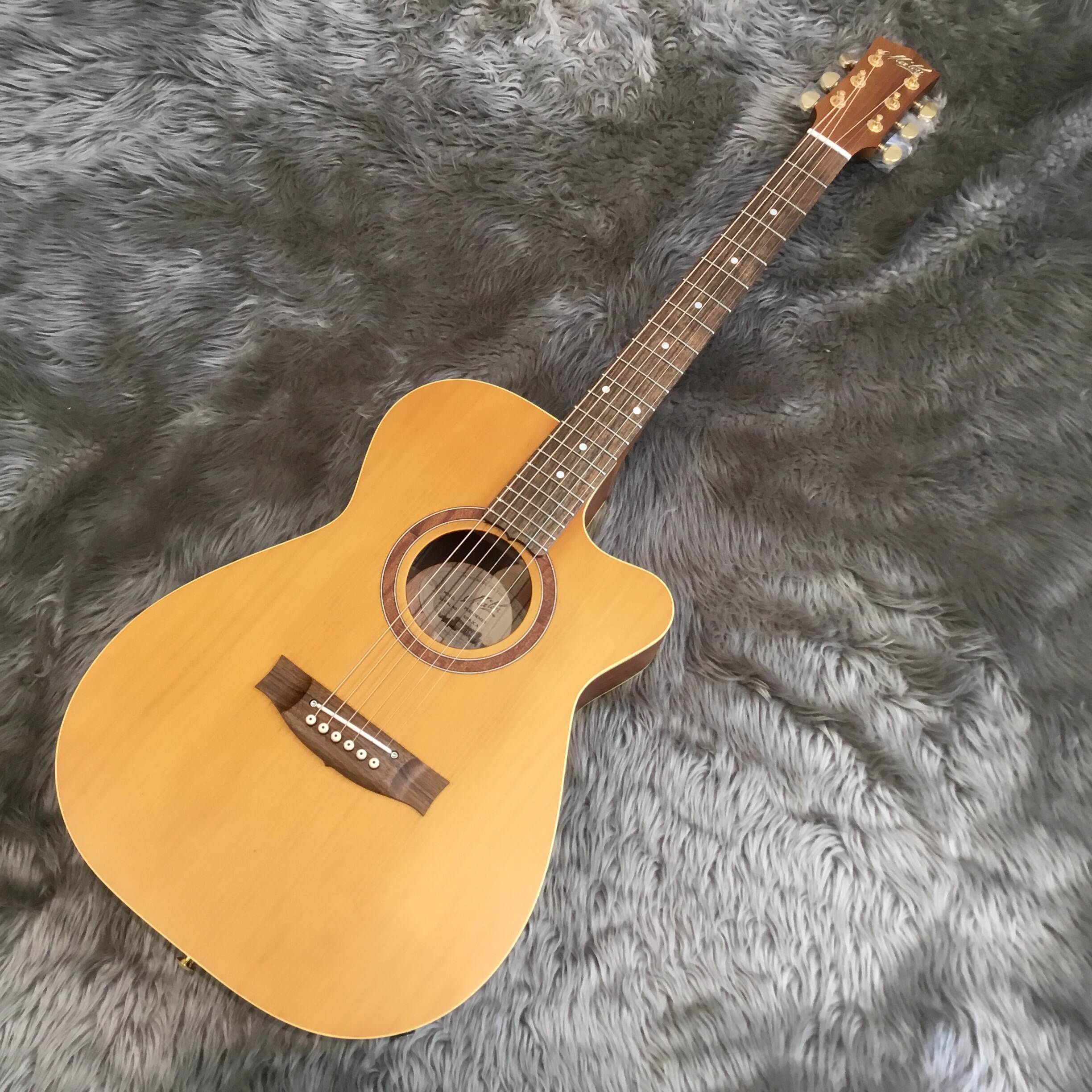 Performer 2023 Limited Model