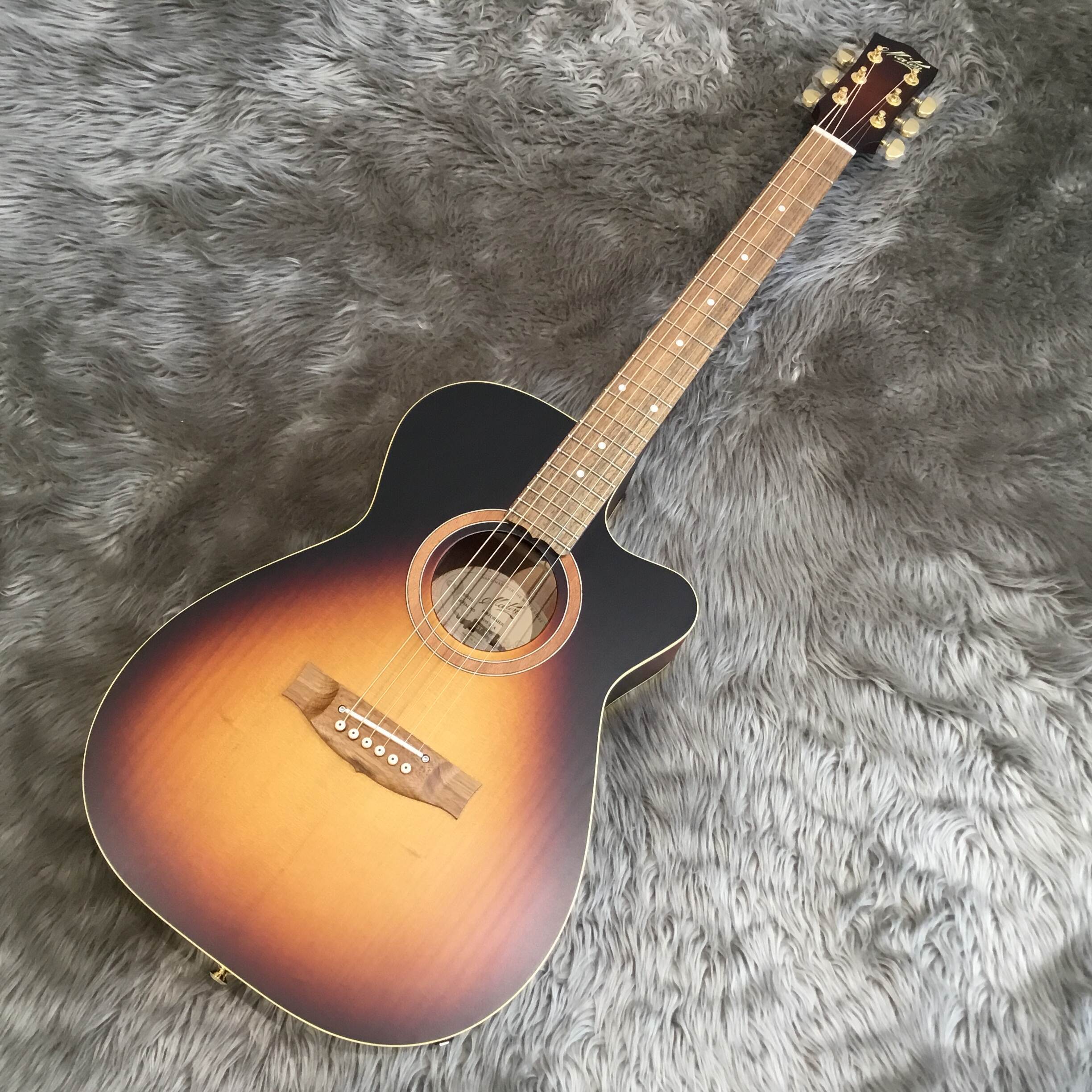 Performer 2023 Limited Model