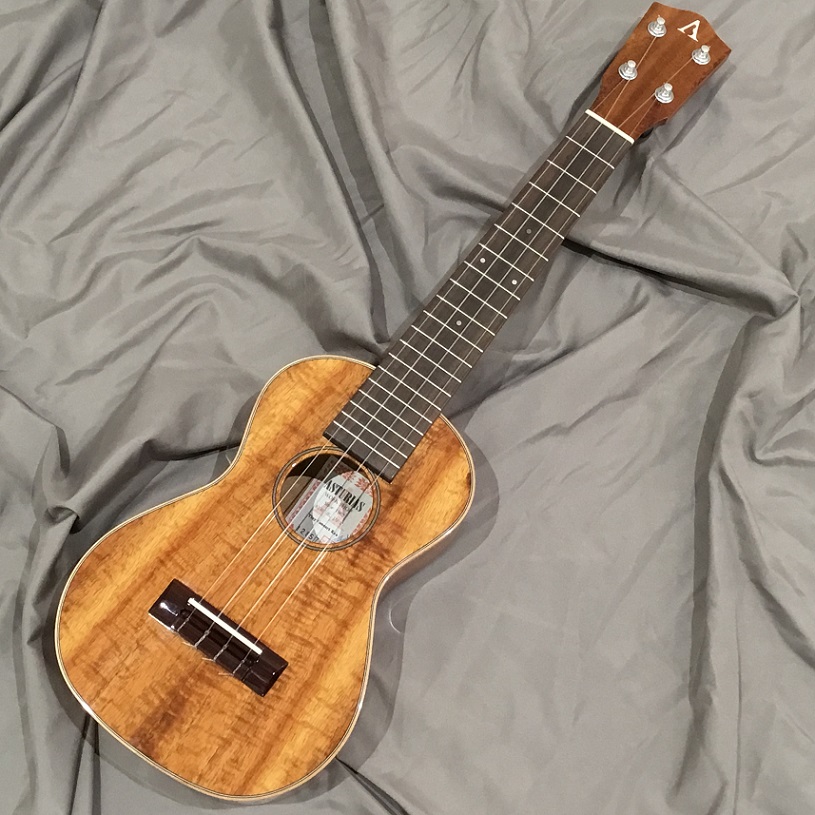 Tiny Concert KOA