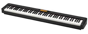 CASIOCDP-S300